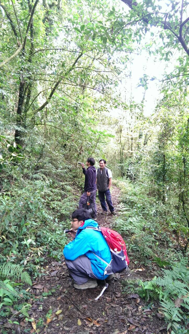 «ö¦¹¦b·sµøµ¡ÂsÄý¹Ï¤ù