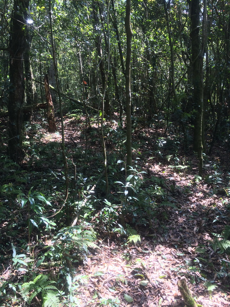 «ö¦¹¦b·sµøµ¡ÂsÄý¹Ï¤ù