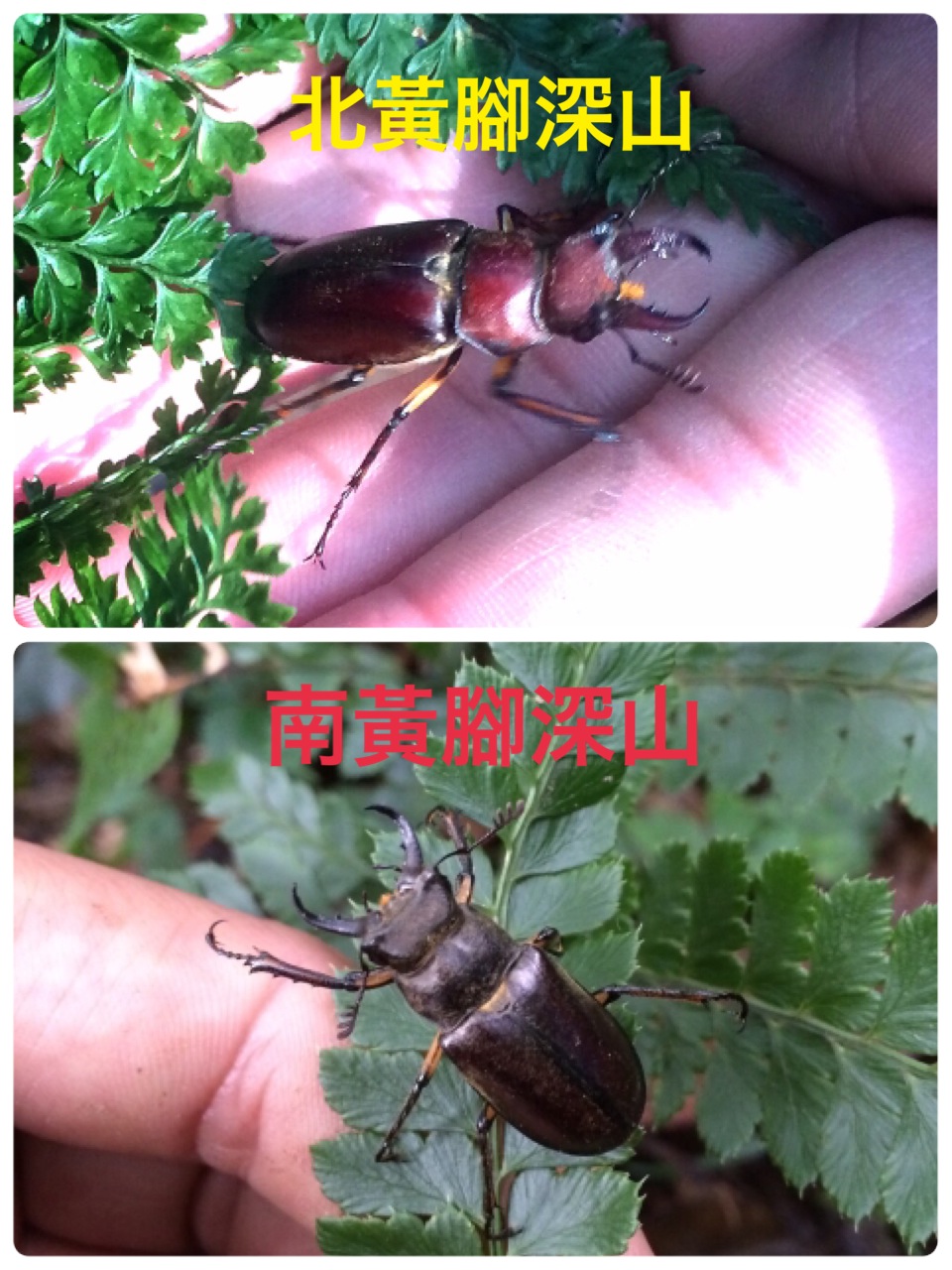 «ö¦¹¦b·sµøµ¡ÂsÄý¹Ï¤ù