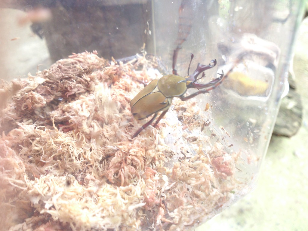 按此在新視窗瀏覽圖片