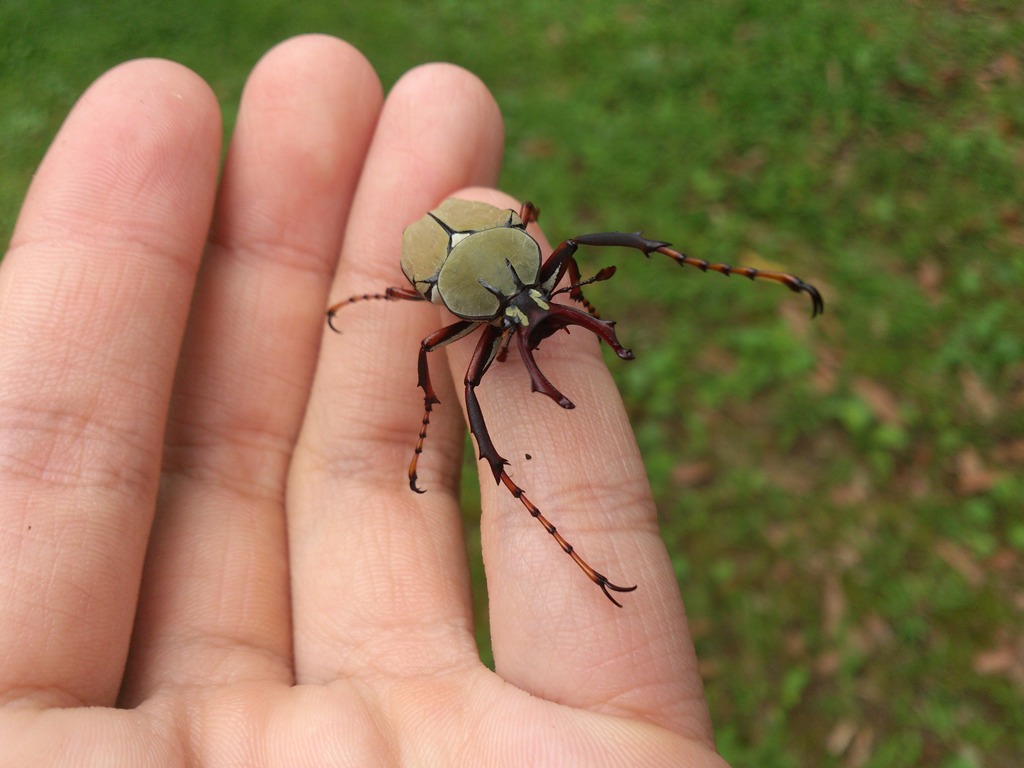 按此在新視窗瀏覽圖片