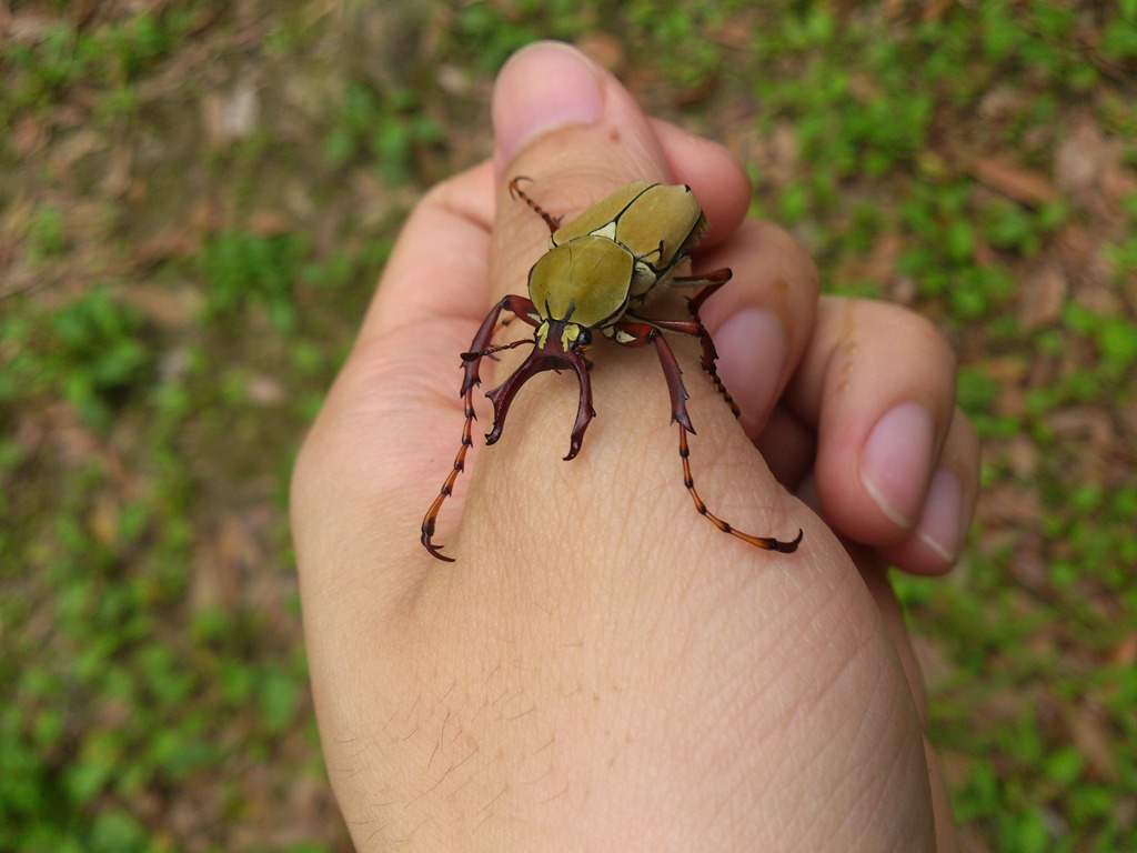 按此在新視窗瀏覽圖片