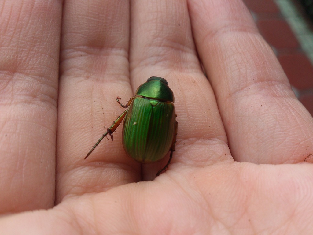 按此在新視窗瀏覽圖片