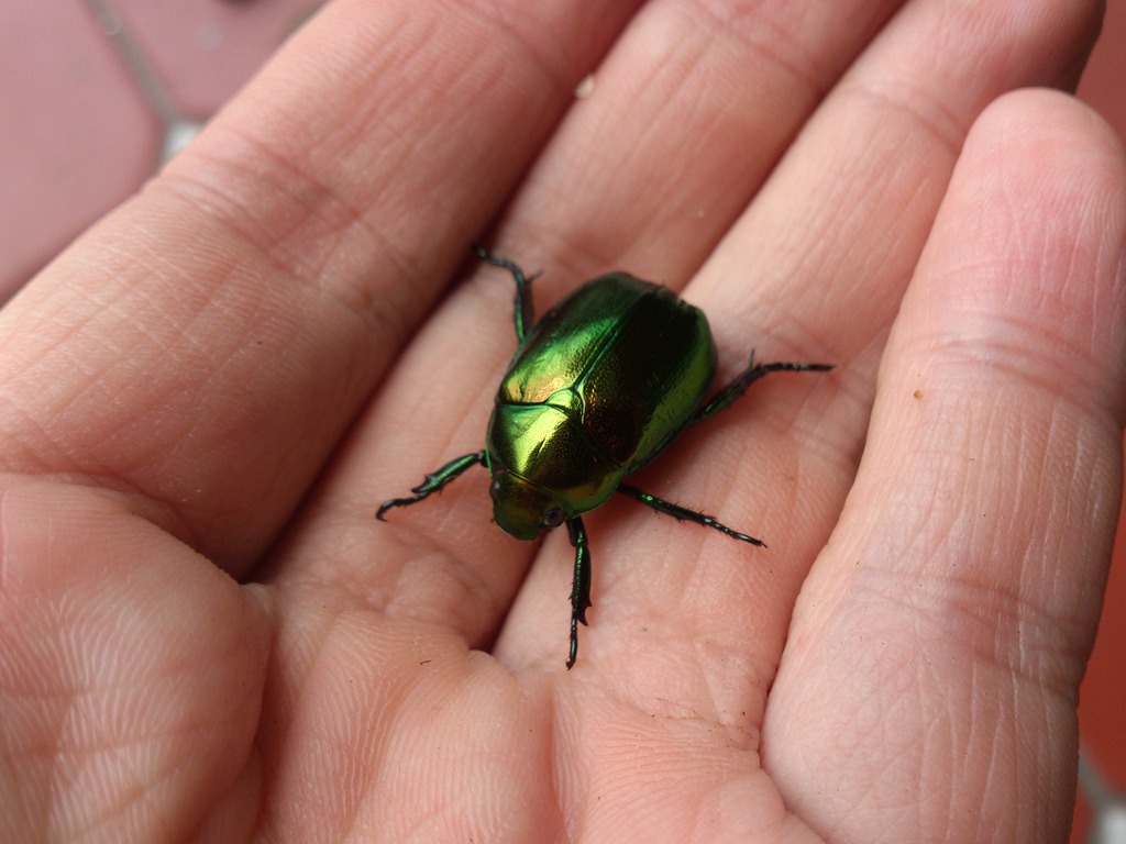 按此在新視窗瀏覽圖片