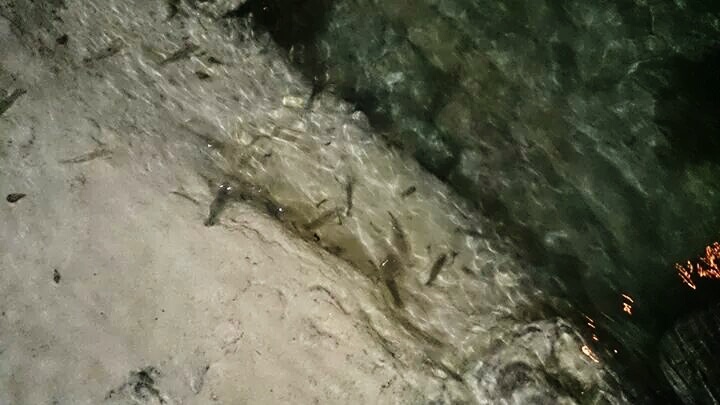 «ö¦¹¦b·sµøµ¡ÂsÄý¹Ï¤ù