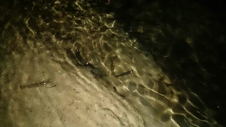 «ö¦¹¦b·sµøµ¡ÂsÄý¹Ï¤ù