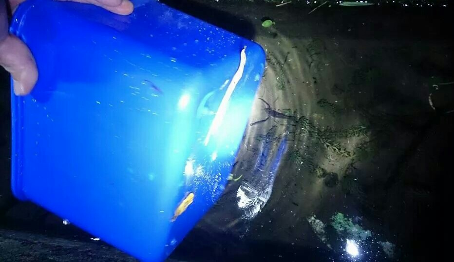 «ö¦¹¦b·sµøµ¡ÂsÄý¹Ï¤ù