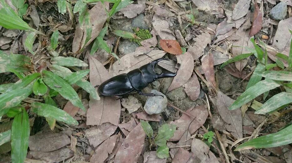 «ö¦¹¦b·sµøµ¡ÂsÄý¹Ï¤ù