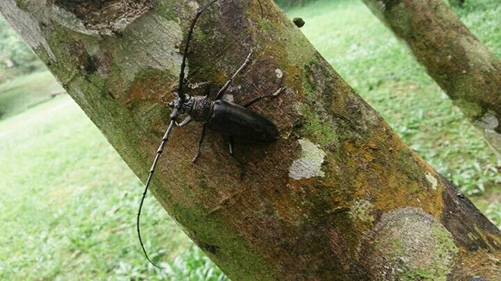 «ö¦¹¦b·sµøµ¡ÂsÄý¹Ï¤ù