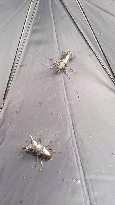 «ö¦¹¦b·sµøµ¡ÂsÄý¹Ï¤ù