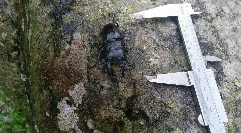 «ö¦¹¦b·sµøµ¡ÂsÄý¹Ï¤ù