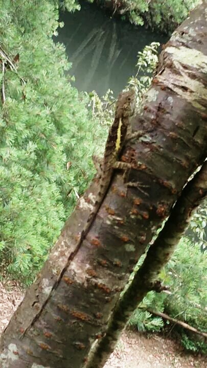 «ö¦¹¦b·sµøµ¡ÂsÄý¹Ï¤ù