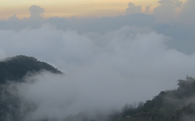 «ö¦¹¦b·sµøµ¡ÂsÄý¹Ï¤ù