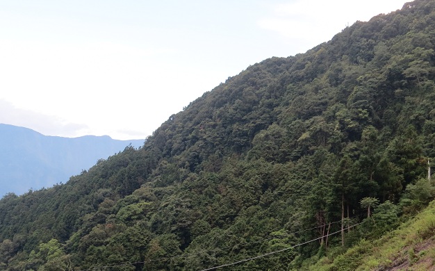 «ö¦¹¦b·sµøµ¡ÂsÄý¹Ï¤ù