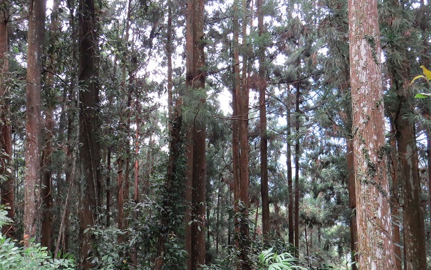 «ö¦¹¦b·sµøµ¡ÂsÄý¹Ï¤ù