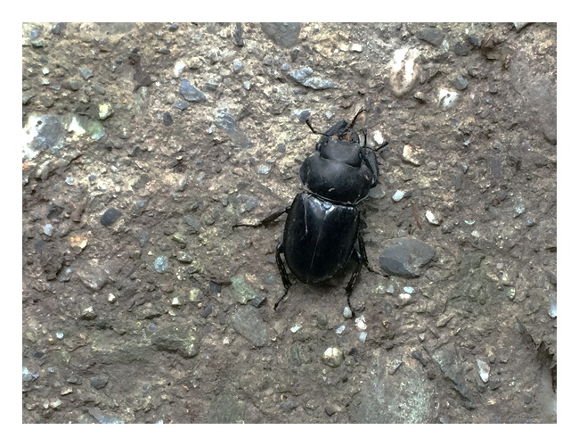 «ö¦¹¦b·sµøµ¡ÂsÄý¹Ï¤ù