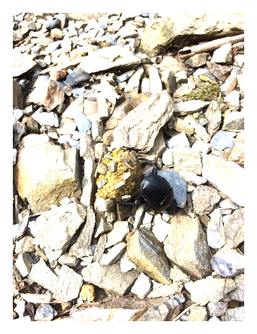 «ö¦¹¦b·sµøµ¡ÂsÄý¹Ï¤ù