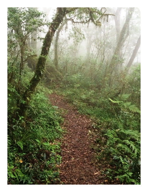 «ö¦¹¦b·sµøµ¡ÂsÄý¹Ï¤ù