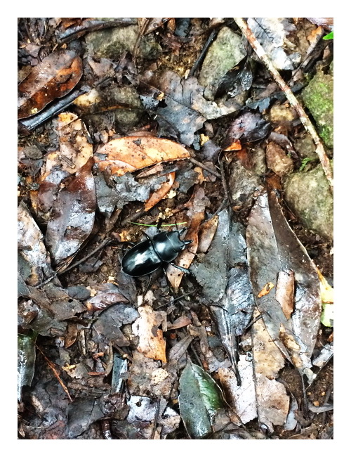 «ö¦¹¦b·sµøµ¡ÂsÄý¹Ï¤ù