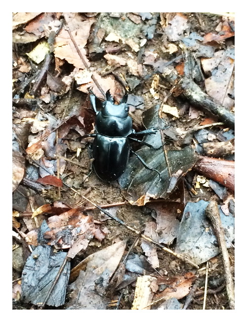 «ö¦¹¦b·sµøµ¡ÂsÄý¹Ï¤ù