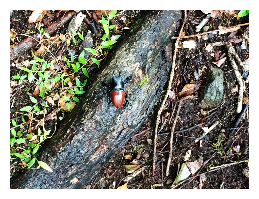 «ö¦¹¦b·sµøµ¡ÂsÄý¹Ï¤ù