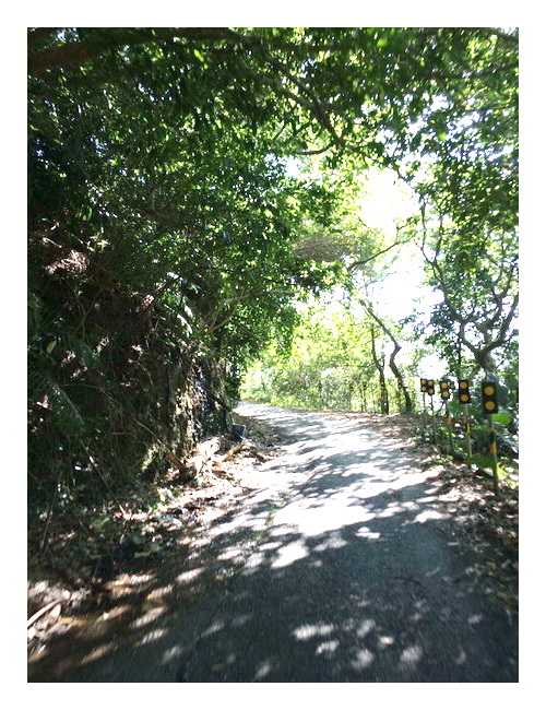 «ö¦¹¦b·sµøµ¡ÂsÄý¹Ï¤ù