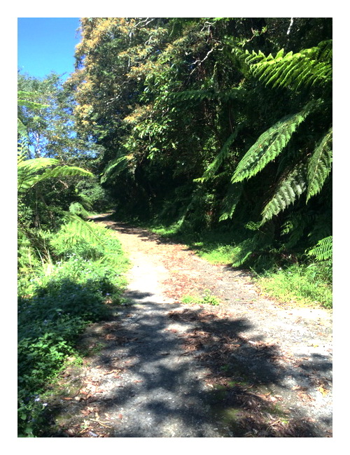 «ö¦¹¦b·sµøµ¡ÂsÄý¹Ï¤ù