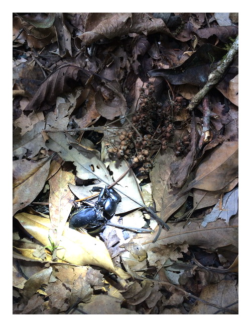 «ö¦¹¦b·sµøµ¡ÂsÄý¹Ï¤ù