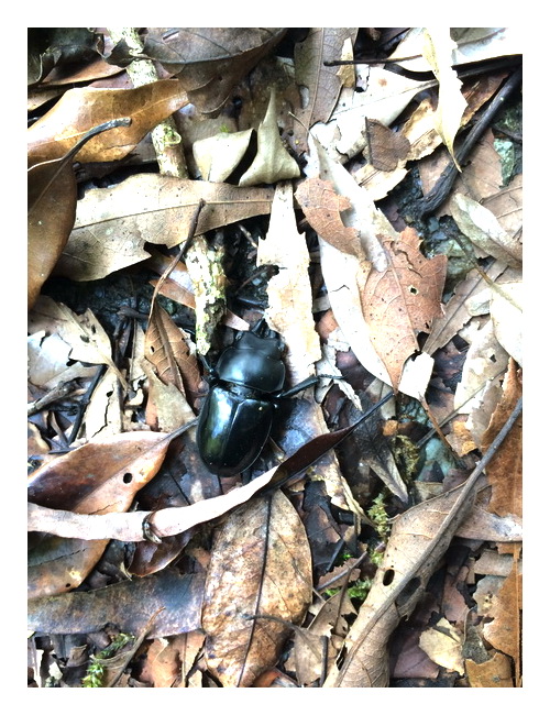 «ö¦¹¦b·sµøµ¡ÂsÄý¹Ï¤ù