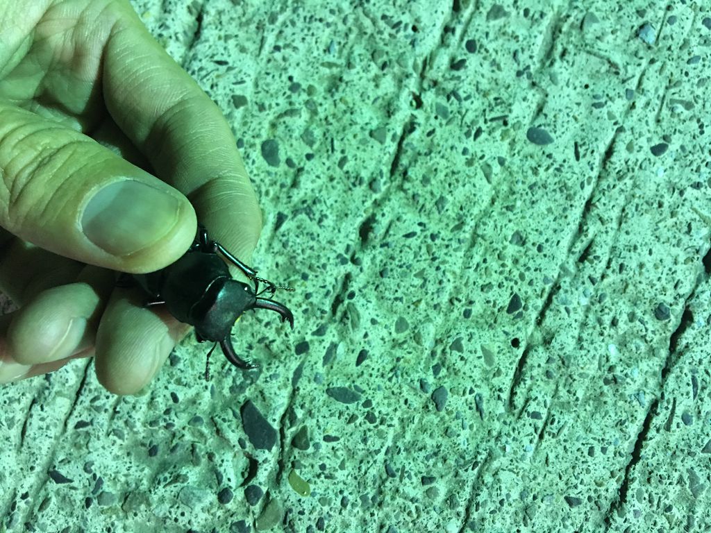 按此在新視窗瀏覽圖片