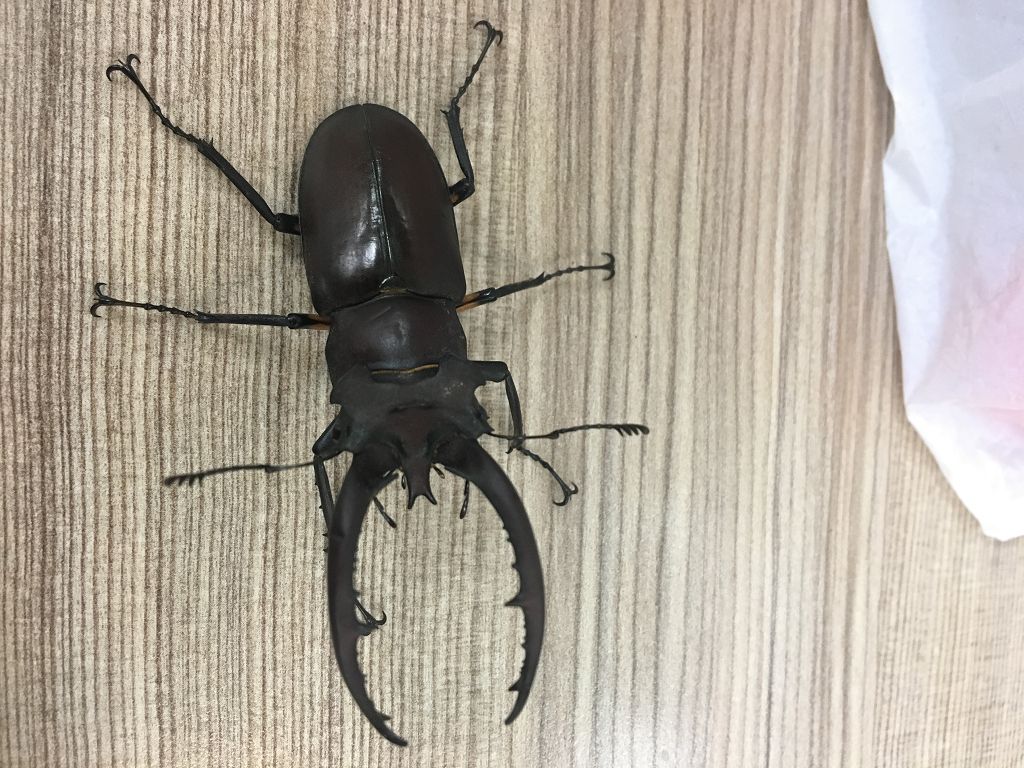 按此在新視窗瀏覽圖片