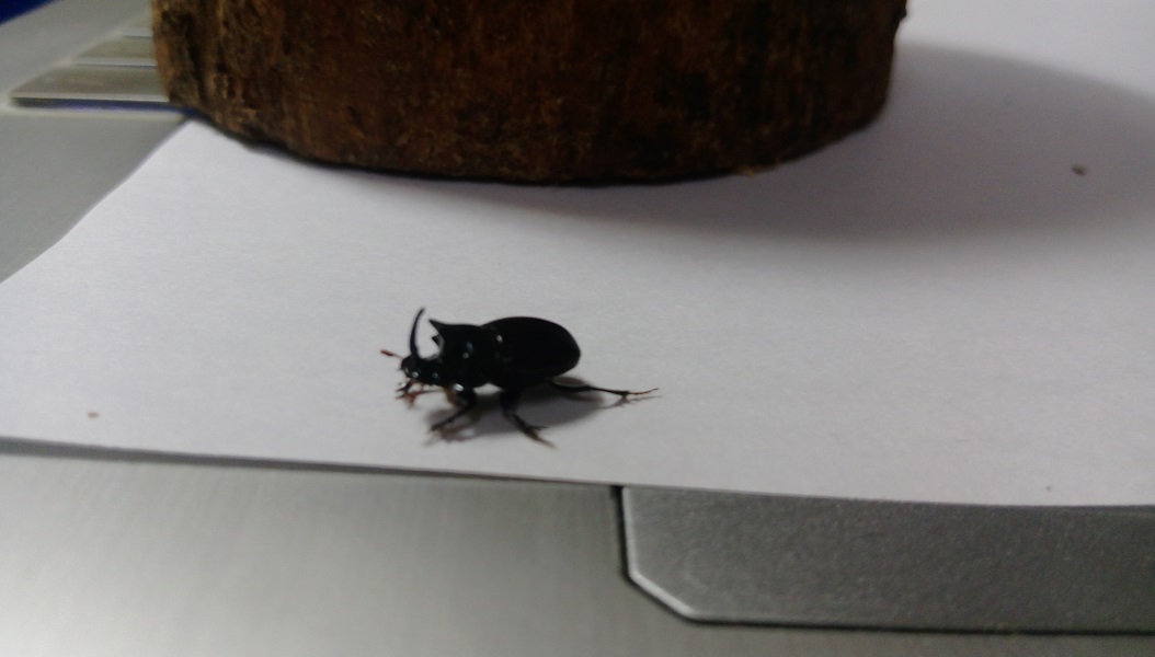 «ö¦¹¦b·sµøµ¡ÂsÄý¹Ï¤ù