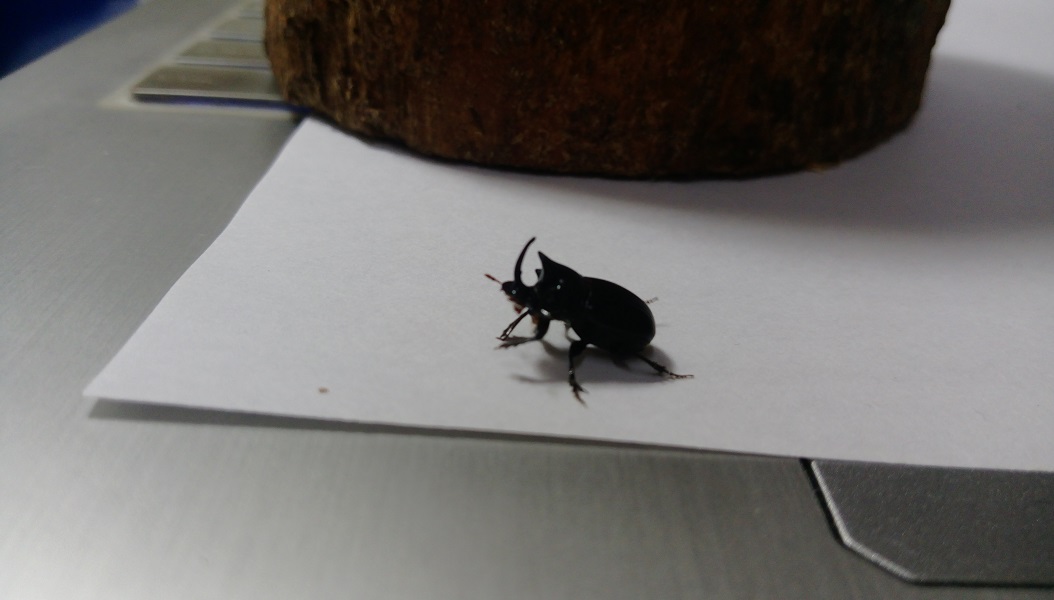 «ö¦¹¦b·sµøµ¡ÂsÄý¹Ï¤ù