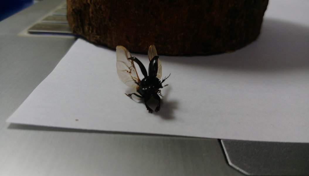 «ö¦¹¦b·sµøµ¡ÂsÄý¹Ï¤ù