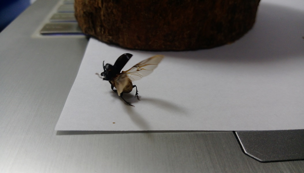 «ö¦¹¦b·sµøµ¡ÂsÄý¹Ï¤ù