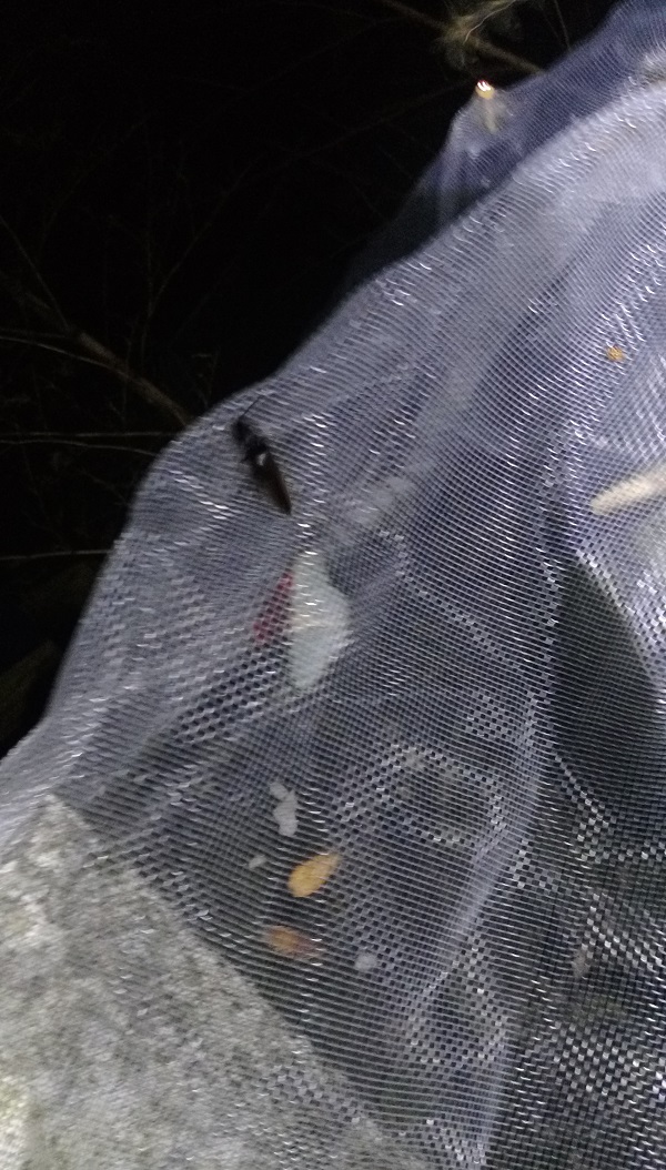 «ö¦¹¦b·sµøµ¡ÂsÄý¹Ï¤ù