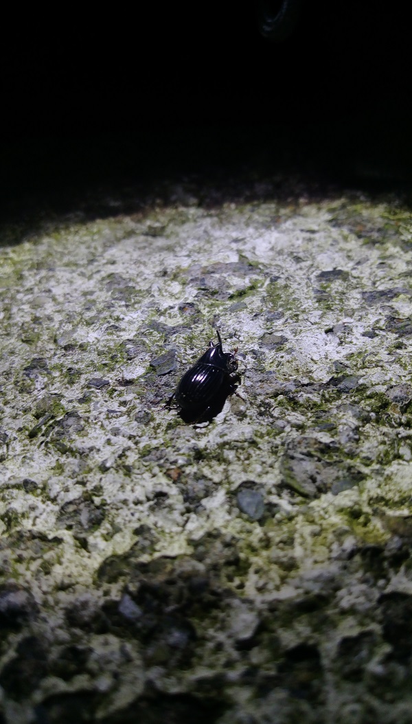 «ö¦¹¦b·sµøµ¡ÂsÄý¹Ï¤ù