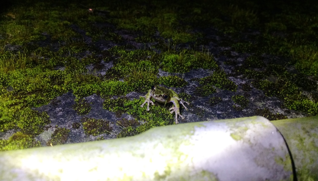 «ö¦¹¦b·sµøµ¡ÂsÄý¹Ï¤ù