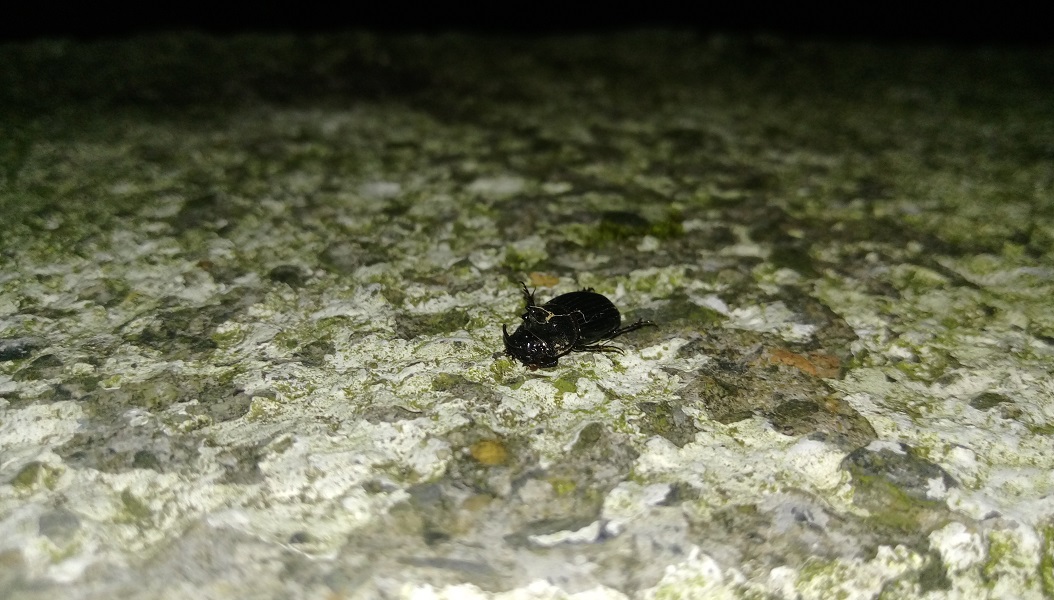 «ö¦¹¦b·sµøµ¡ÂsÄý¹Ï¤ù