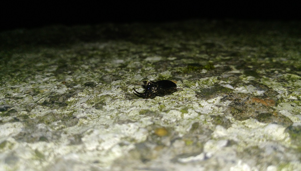 «ö¦¹¦b·sµøµ¡ÂsÄý¹Ï¤ù