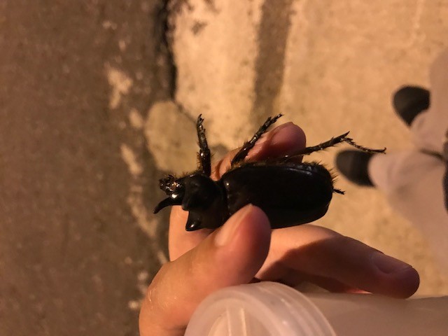 «ö¦¹¦b·sµøµ¡ÂsÄý¹Ï¤ù