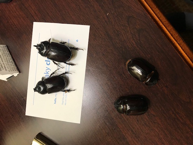 «ö¦¹¦b·sµøµ¡ÂsÄý¹Ï¤ù