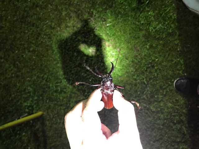 «ö¦¹¦b·sµøµ¡ÂsÄý¹Ï¤ù