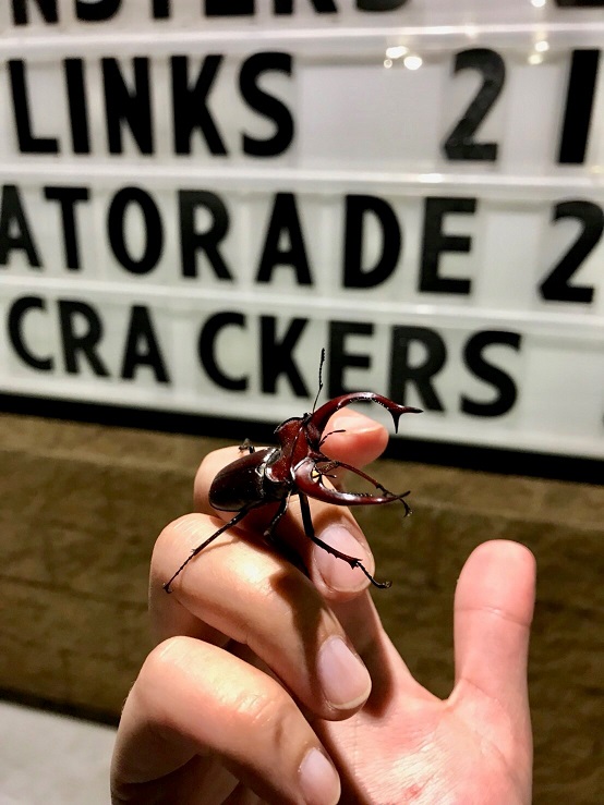 «ö¦¹¦b·sµøµ¡ÂsÄý¹Ï¤ù