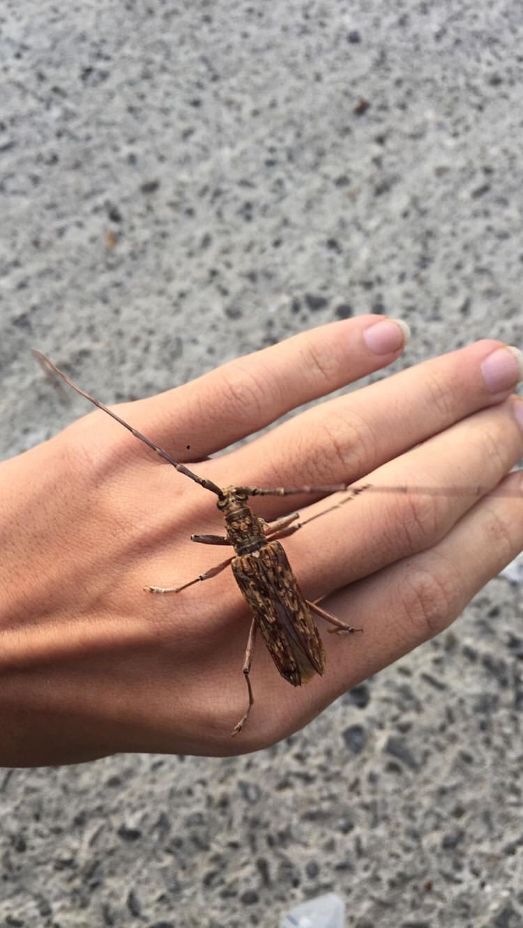 «ö¦¹¦b·sµøµ¡ÂsÄý¹Ï¤ù