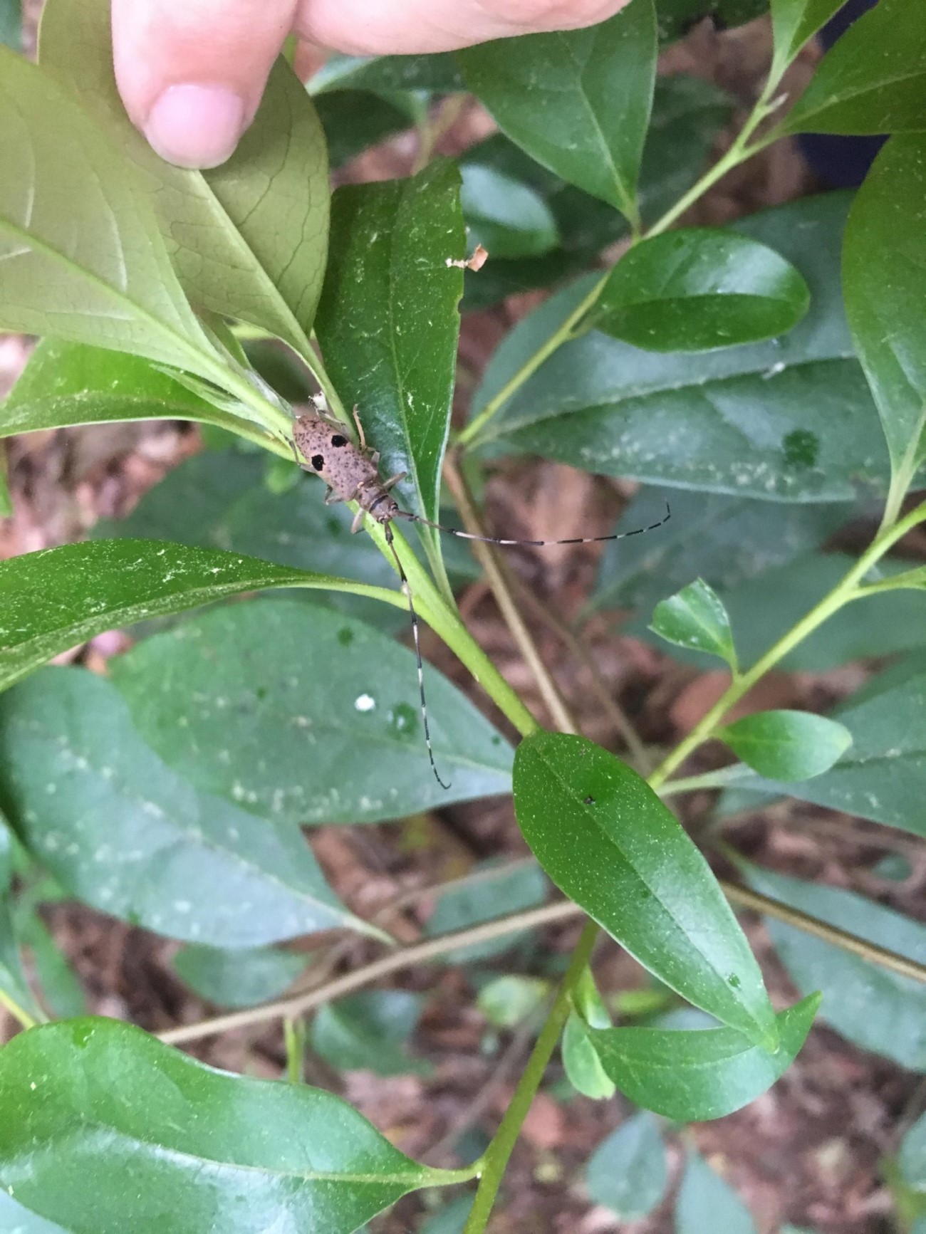 «ö¦¹¦b·sµøµ¡ÂsÄý¹Ï¤ù