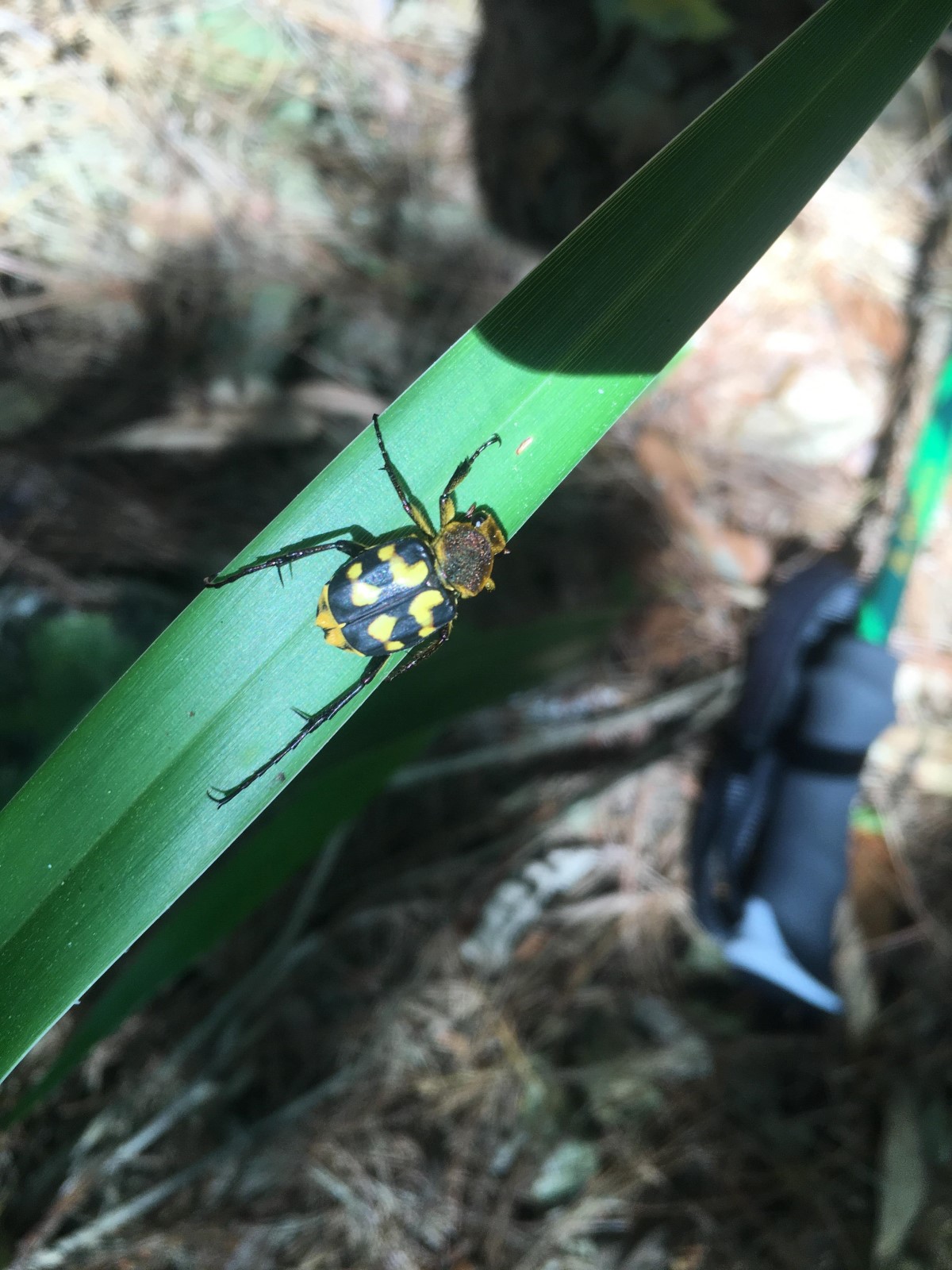 «ö¦¹¦b·sµøµ¡ÂsÄý¹Ï¤ù