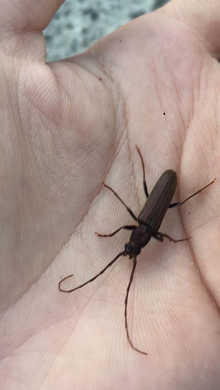 «ö¦¹¦b·sµøµ¡ÂsÄý¹Ï¤ù