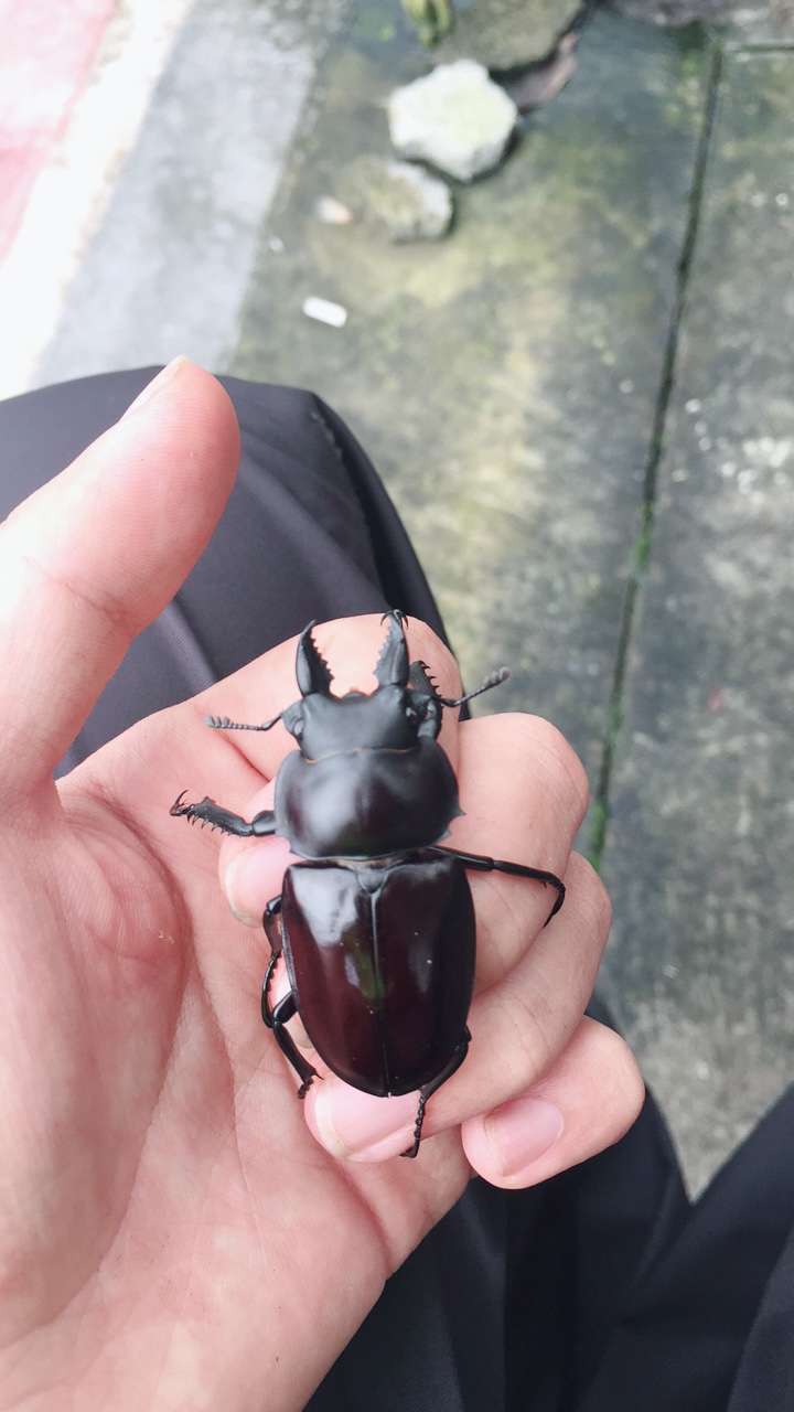 «ö¦¹¦b·sµøµ¡ÂsÄý¹Ï¤ù