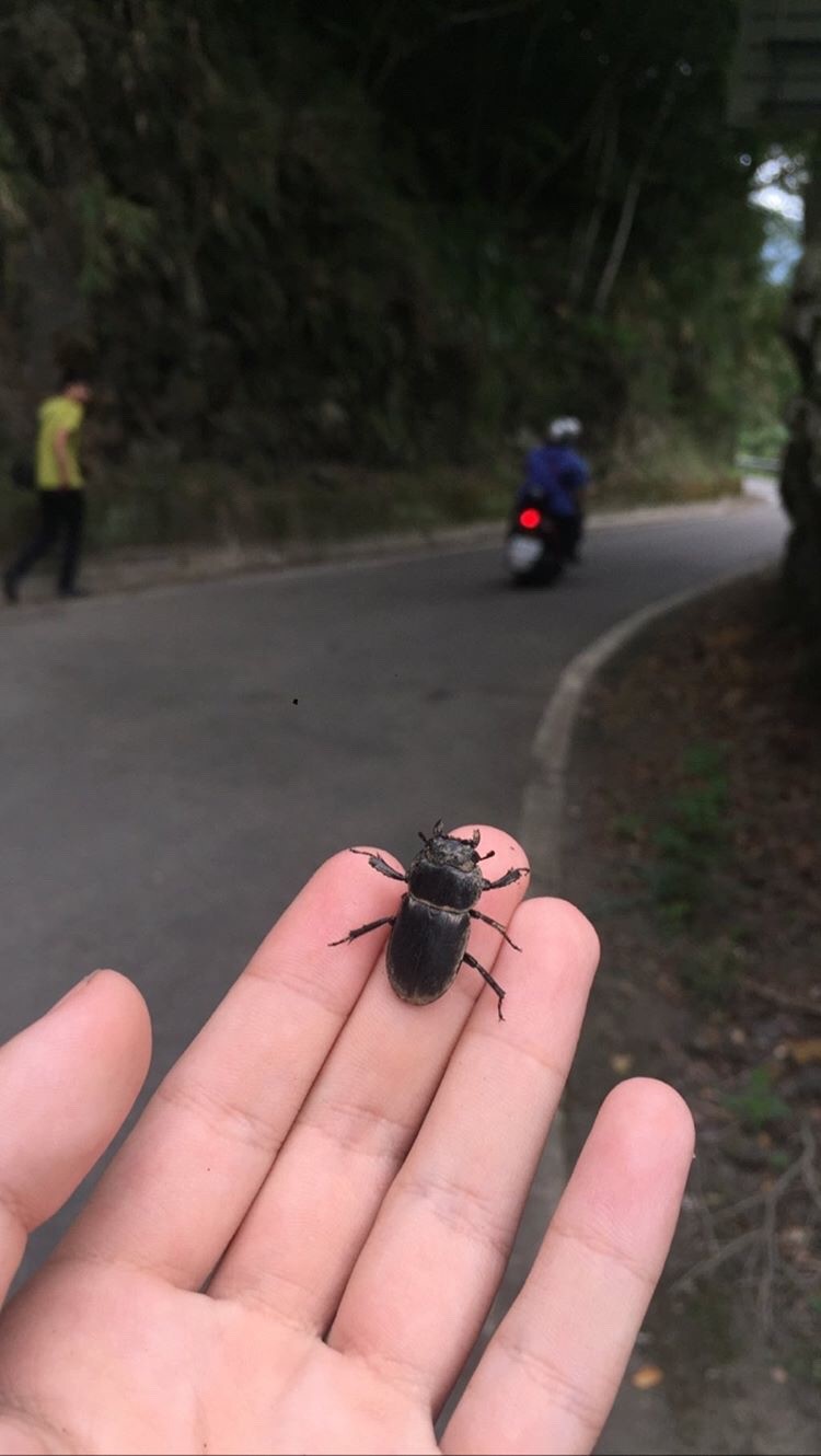 «ö¦¹¦b·sµøµ¡ÂsÄý¹Ï¤ù